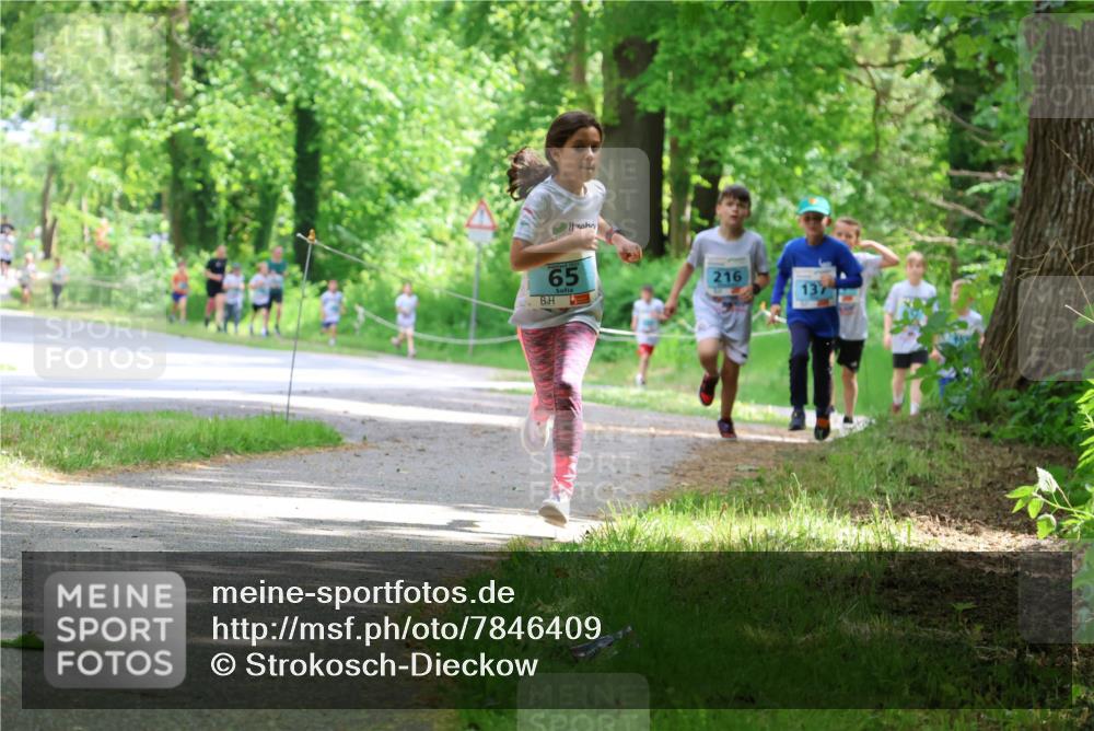 17.05.2025 - Störlauf Strokosch-Dieckow http://msf.ph/oto/7846409 17.05.2025 13:38:41 Laufen 2021, 65, 216, 137 meine-sportfotos.de