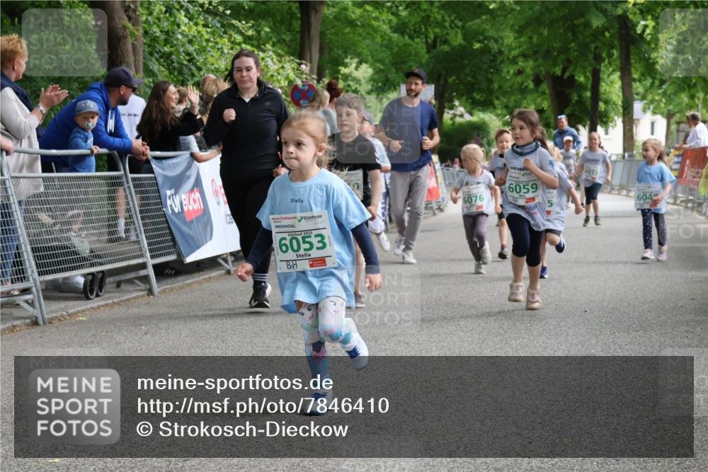 17.05.2025 - Störlauf Strokosch-Dieckow http://msf.ph/oto/7846410 17.05.2025 13:17:02 Ziel 2025, 6053, 6076, 6059, 6017, 6049 meine-sportfotos.de