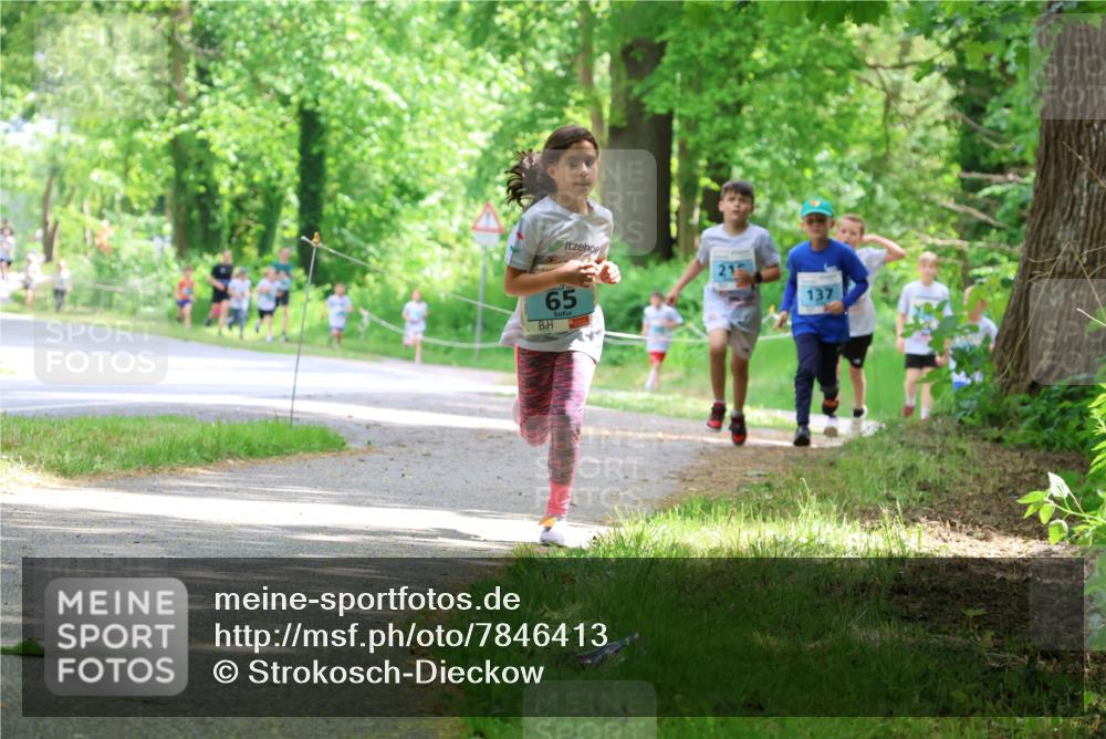 17.05.2025 - Störlauf Strokosch-Dieckow http://msf.ph/oto/7846413 17.05.2025 13:38:41 Laufen 21, 65, 137 meine-sportfotos.de