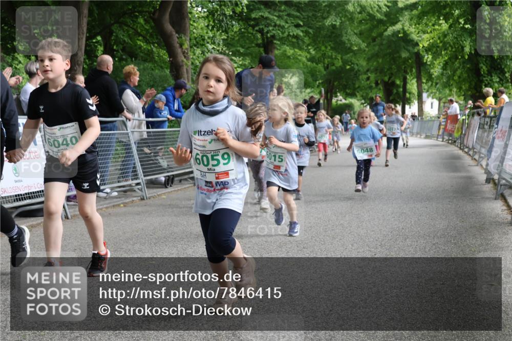 17.05.2025 - Störlauf Strokosch-Dieckow http://msf.ph/oto/7846415 17.05.2025 13:17:04 Ziel 2025, 6040, 2025, 6059, 6015, 6048, 6017 meine-sportfotos.de