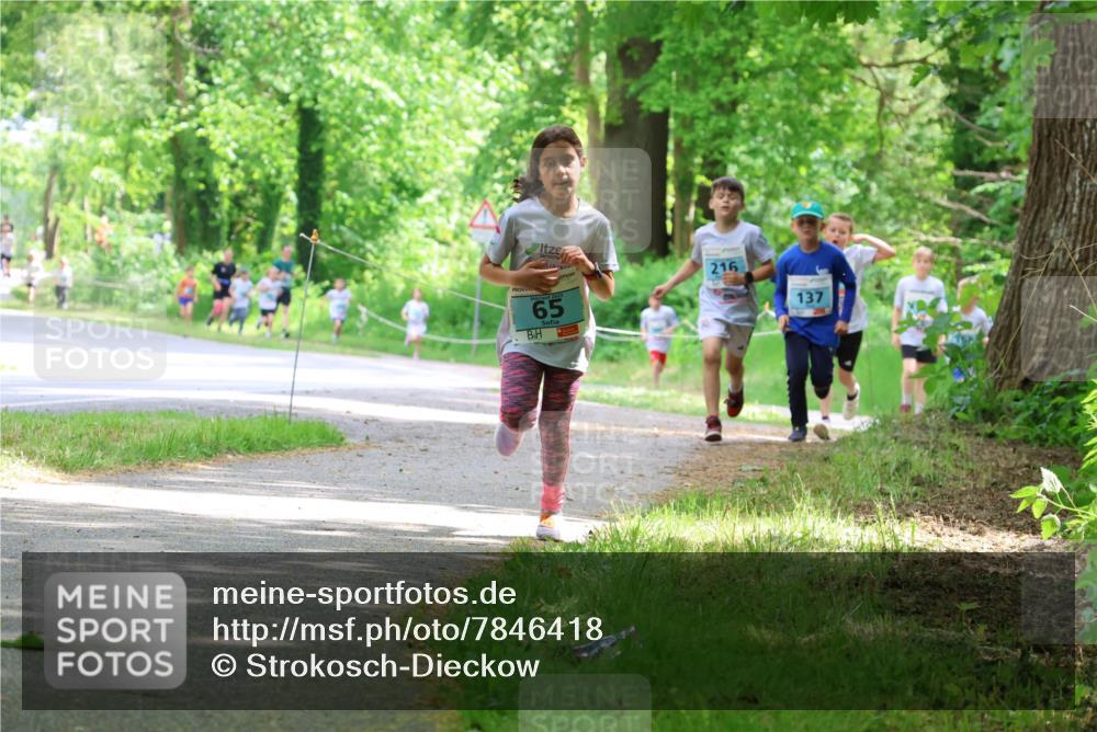 17.05.2025 - Störlauf Strokosch-Dieckow http://msf.ph/oto/7846418 17.05.2025 13:38:41 Laufen 65, 216, 137 meine-sportfotos.de