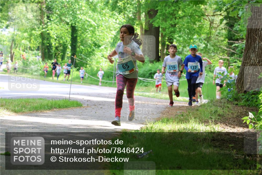 17.05.2025 - Störlauf Strokosch-Dieckow http://msf.ph/oto/7846424 17.05.2025 13:38:41 Laufen 2025, 65, 216, 137 meine-sportfotos.de