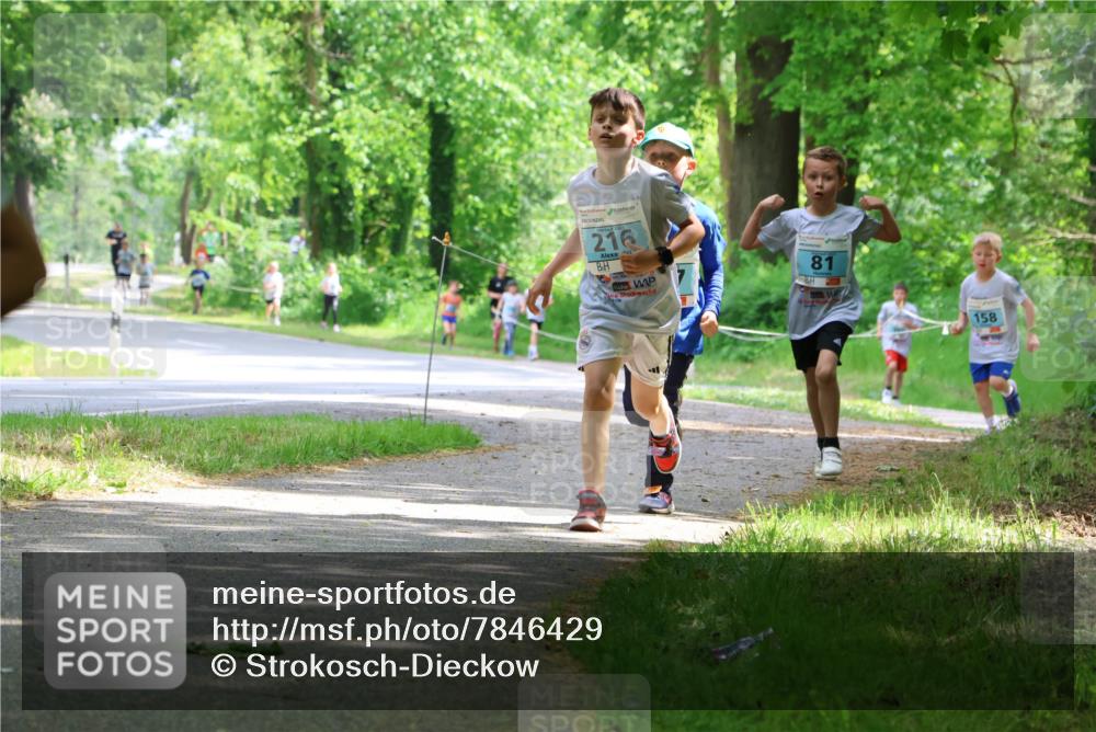 17.05.2025 - Störlauf Strokosch-Dieckow http://msf.ph/oto/7846429 17.05.2025 13:38:44 Laufen 216, 81, 158 meine-sportfotos.de