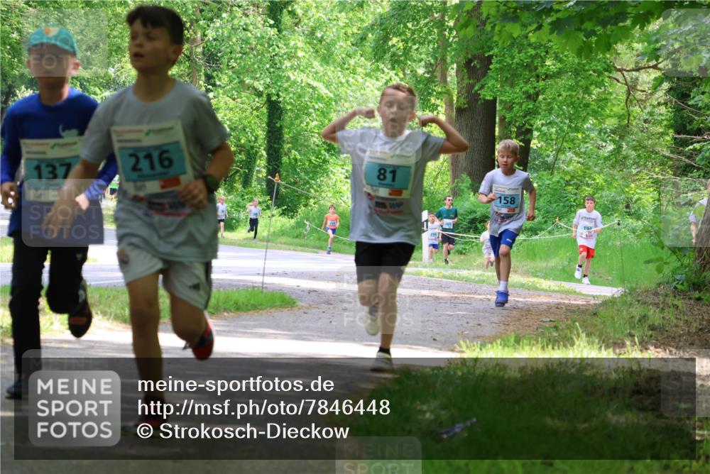 17.05.2025 - Störlauf Strokosch-Dieckow http://msf.ph/oto/7846448 17.05.2025 13:38:46 Laufen 137, 216, 81, 158, 194 meine-sportfotos.de