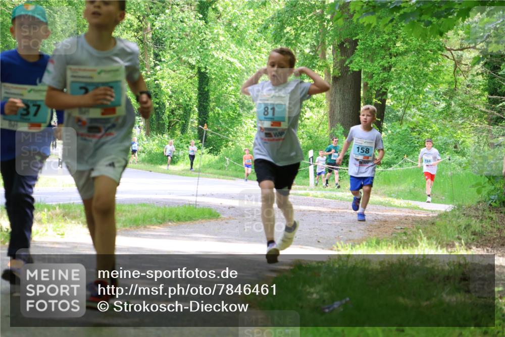 17.05.2025 - Störlauf Strokosch-Dieckow http://msf.ph/oto/7846461 17.05.2025 13:38:46 Laufen 37, 81, 158, 194 meine-sportfotos.de