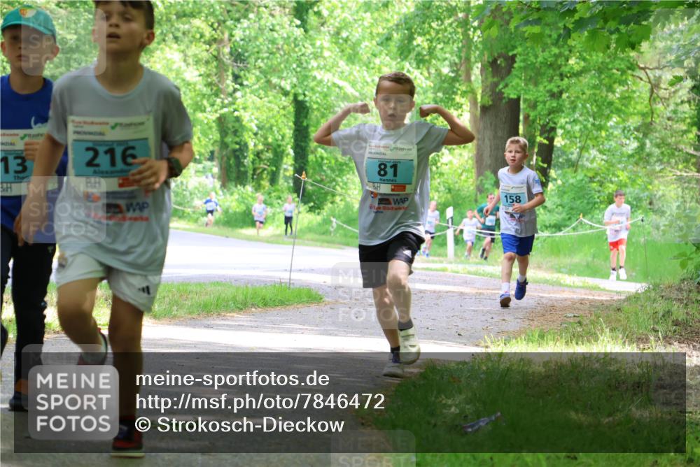 17.05.2025 - Störlauf Strokosch-Dieckow http://msf.ph/oto/7846472 17.05.2025 13:38:47 Laufen 13, 216, 81, 158 meine-sportfotos.de