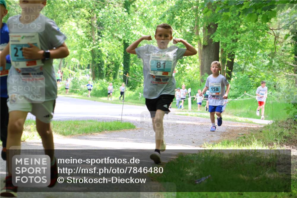 17.05.2025 - Störlauf Strokosch-Dieckow http://msf.ph/oto/7846480 17.05.2025 13:38:47 Laufen 21, 81, 158, 19 meine-sportfotos.de