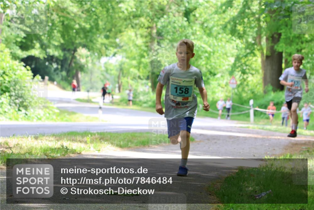 17.05.2025 - Störlauf Strokosch-Dieckow http://msf.ph/oto/7846484 17.05.2025 13:38:51 Laufen 158 meine-sportfotos.de