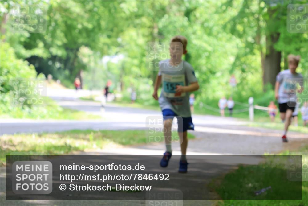 17.05.2025 - Störlauf Strokosch-Dieckow http://msf.ph/oto/7846492 17.05.2025 13:38:51 Laufen 155 meine-sportfotos.de