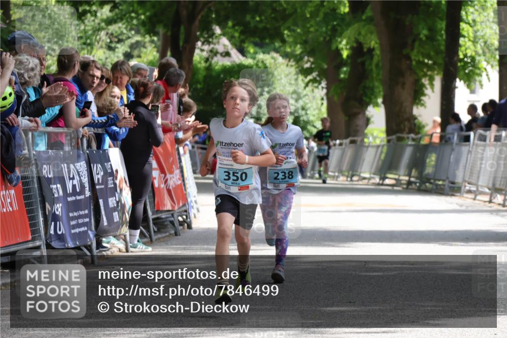 17.05.2025 - Störlauf Strokosch-Dieckow http://msf.ph/oto/7846499 17.05.2025 13:39:19 Ziel 7, 25524, 350, 238 meine-sportfotos.de