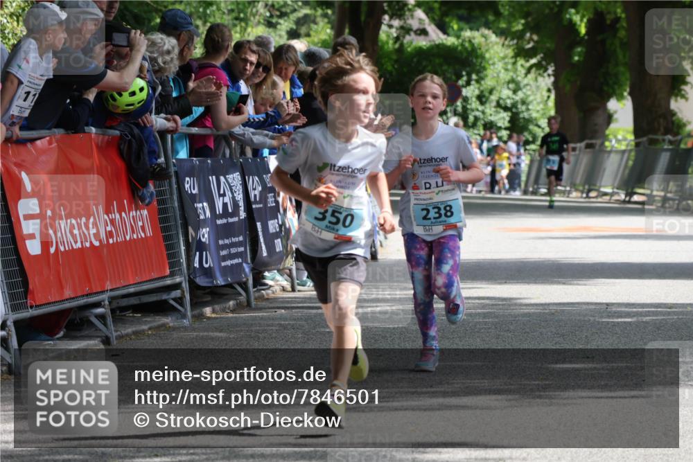 17.05.2025 - Störlauf Strokosch-Dieckow http://msf.ph/oto/7846501 17.05.2025 13:39:20 Ziel 11, 7, 25524, 350, 2025, 238 meine-sportfotos.de