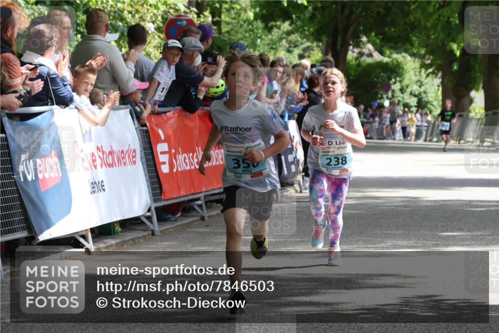17.05.2025 - Störlauf Strokosch-Dieckow http://msf.ph/oto/7846503 17.05.2025 13:39:21 Ziel 350, 2025, 238 meine-sportfotos.de