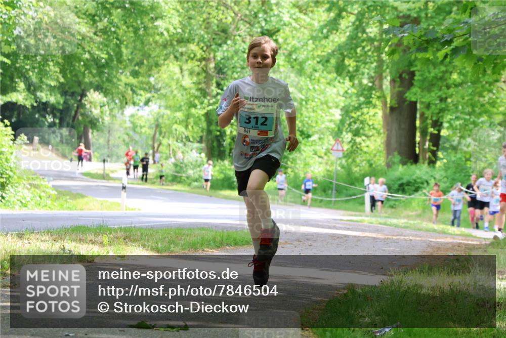 17.05.2025 - Störlauf Strokosch-Dieckow http://msf.ph/oto/7846504 17.05.2025 13:38:54 Laufen 2025, 312 meine-sportfotos.de