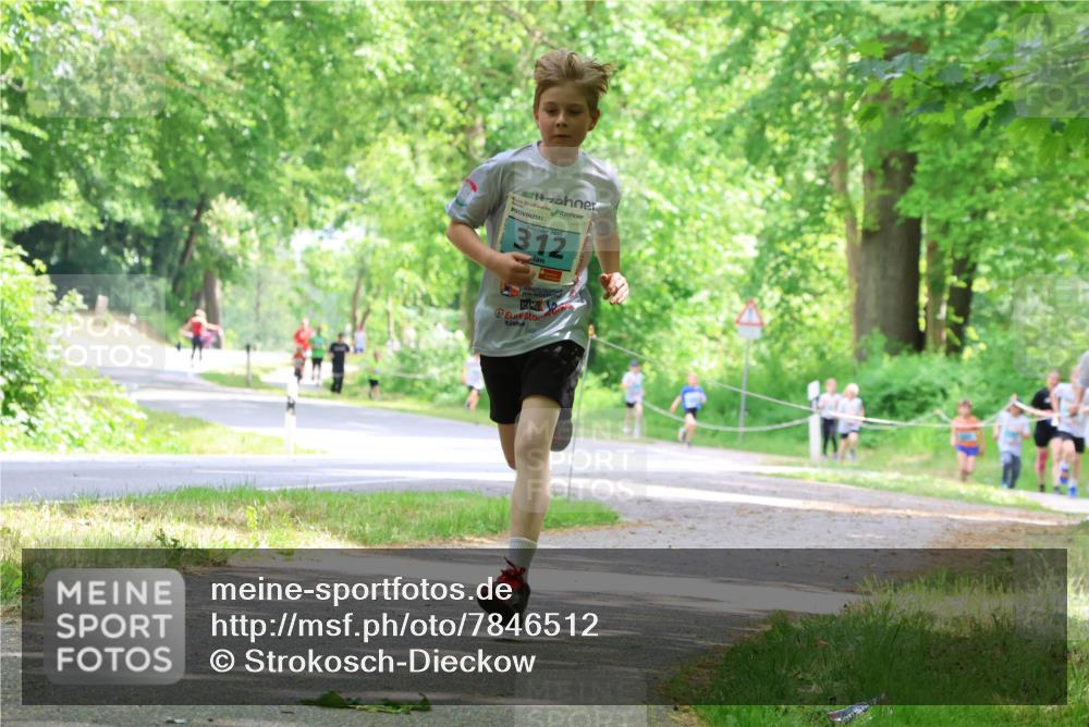 17.05.2025 - Störlauf Strokosch-Dieckow http://msf.ph/oto/7846512 17.05.2025 13:38:54 Laufen 2025, 312 meine-sportfotos.de