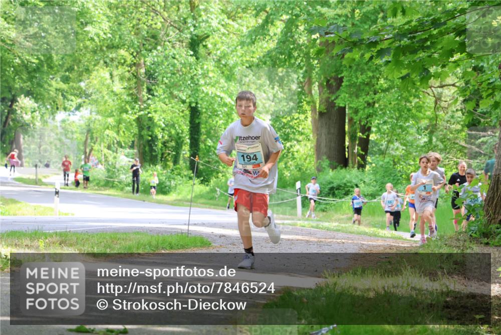 17.05.2025 - Störlauf Strokosch-Dieckow http://msf.ph/oto/7846524 17.05.2025 13:38:59 Laufen 194, 294 meine-sportfotos.de