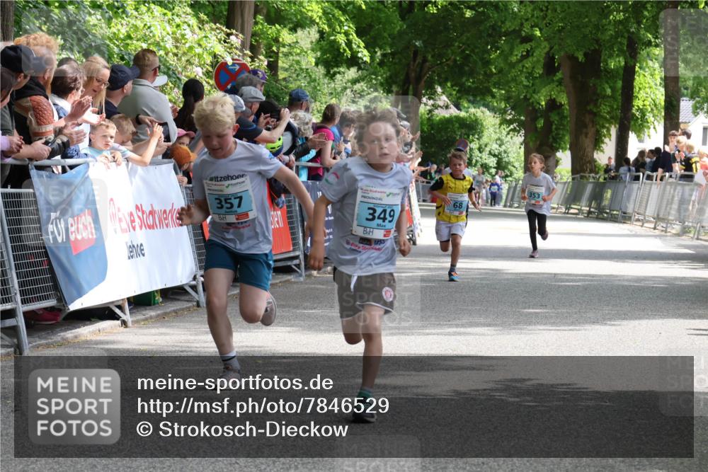 17.05.2025 - Störlauf Strokosch-Dieckow http://msf.ph/oto/7846529 17.05.2025 13:39:40 Ziel 357, 349, 555, 68 meine-sportfotos.de