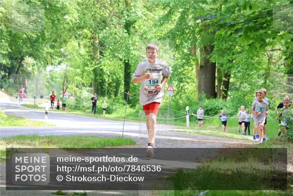 17.05.2025 - Störlauf Strokosch-Dieckow http://msf.ph/oto/7846536 17.05.2025 13:38:59 Laufen 194, 294 meine-sportfotos.de