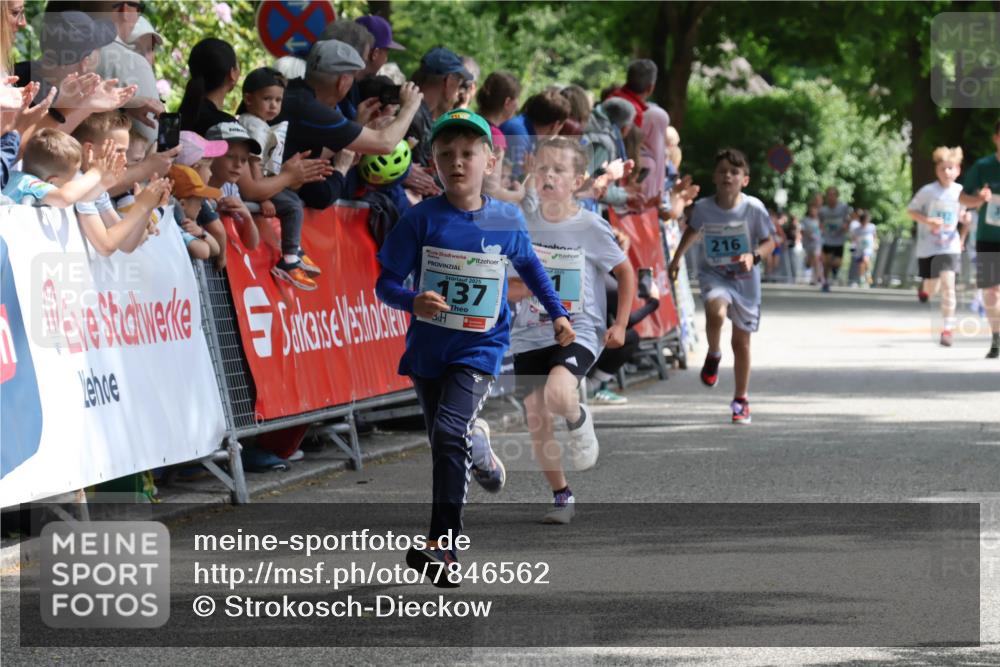 17.05.2025 - Störlauf Strokosch-Dieckow http://msf.ph/oto/7846562 17.05.2025 13:40:09 Ziel 2025, 137, 216 meine-sportfotos.de