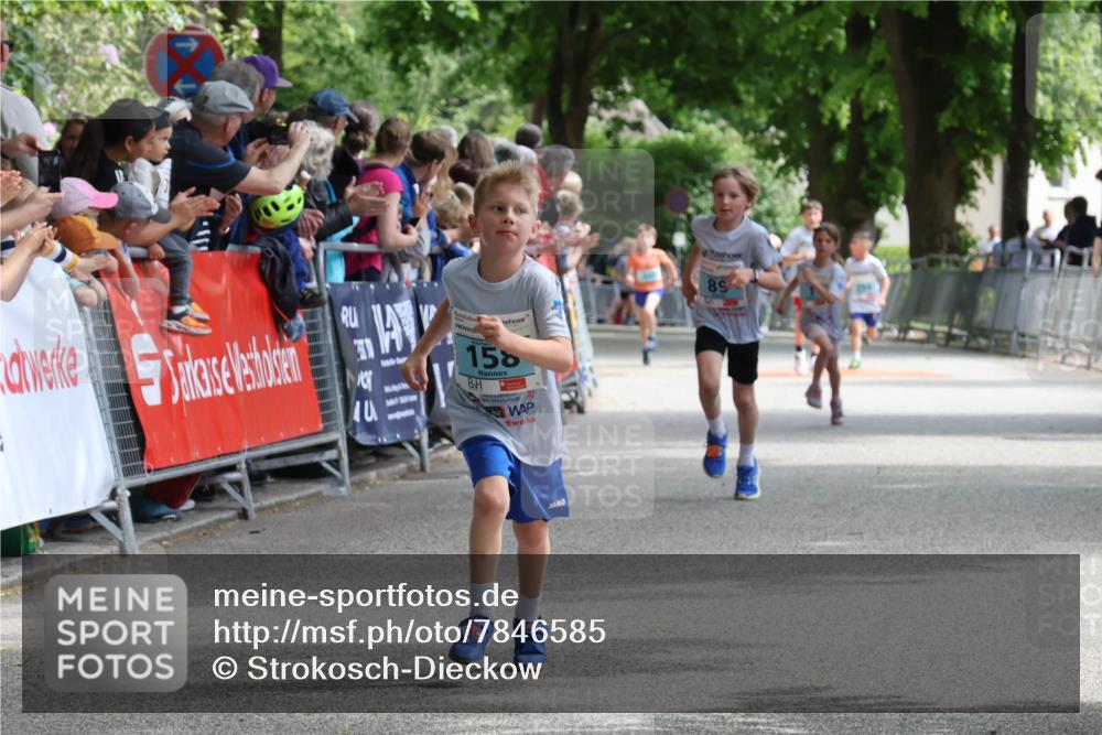 17.05.2025 - Störlauf Strokosch-Dieckow http://msf.ph/oto/7846585 17.05.2025 13:40:22 Ziel 40, 158, 89 meine-sportfotos.de