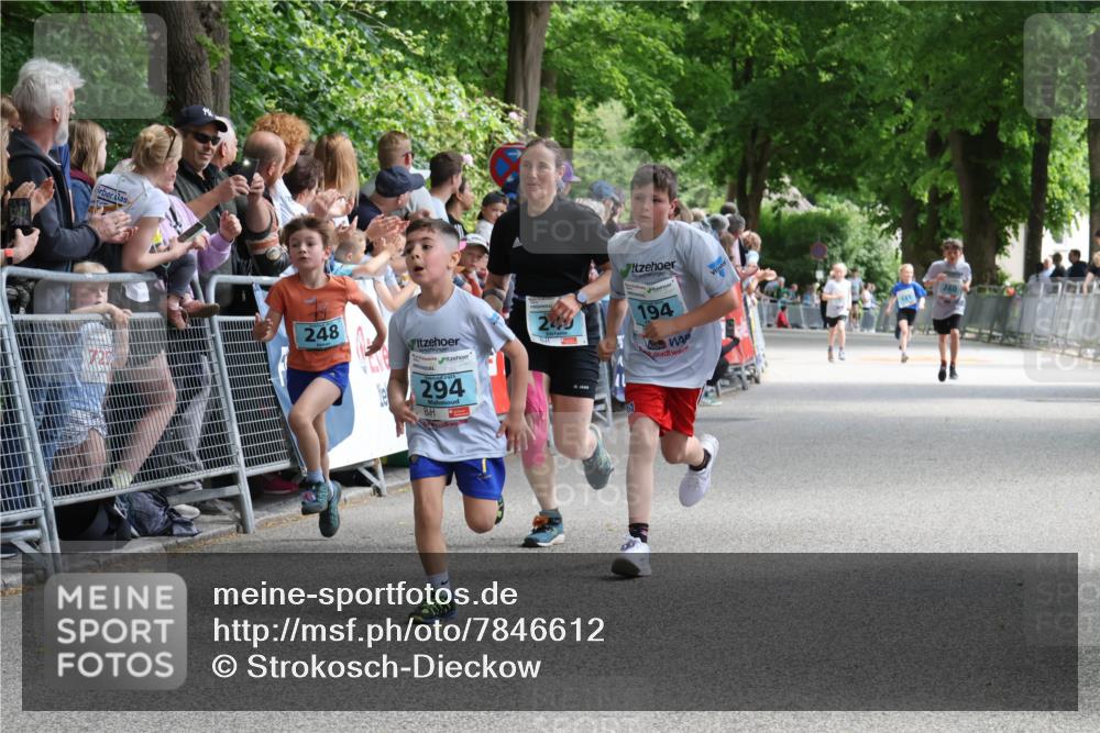 17.05.2025 - Störlauf Strokosch-Dieckow http://msf.ph/oto/7846612 17.05.2025 13:40:33 Ziel 248, 294, 243, 194 meine-sportfotos.de