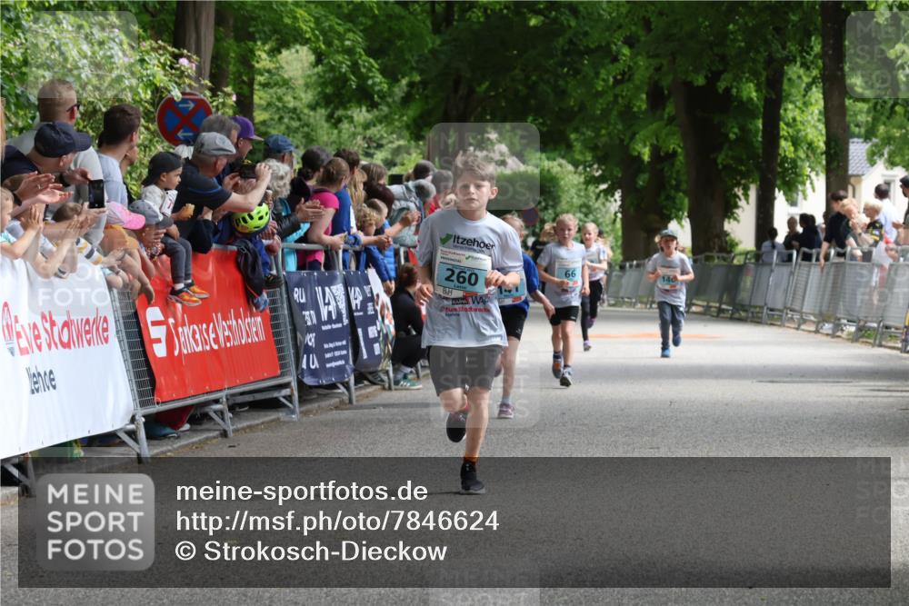 17.05.2025 - Störlauf Strokosch-Dieckow http://msf.ph/oto/7846624 17.05.2025 13:40:39 Ziel 260, 66, 140 meine-sportfotos.de