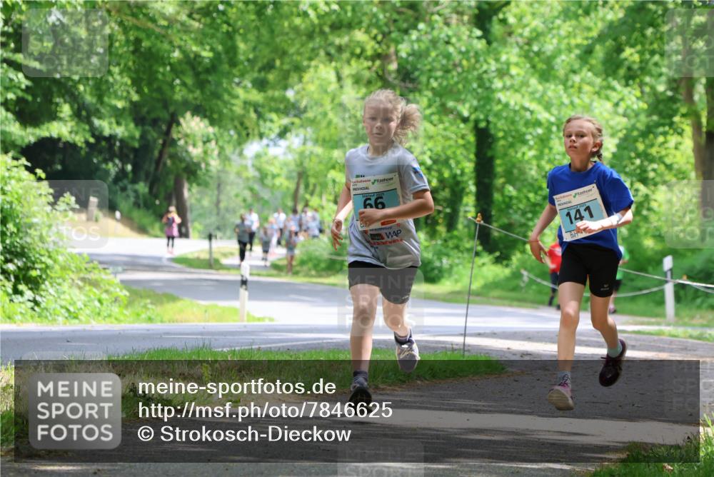 17.05.2025 - Störlauf Strokosch-Dieckow http://msf.ph/oto/7846625 17.05.2025 13:39:13 Laufen 2025, 66, 141 meine-sportfotos.de