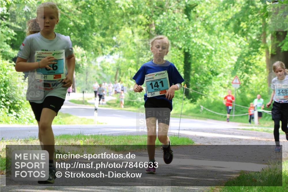 17.05.2025 - Störlauf Strokosch-Dieckow http://msf.ph/oto/7846633 17.05.2025 13:39:15 Laufen 1025, 16, 330100, 2025, 141, 348 meine-sportfotos.de
