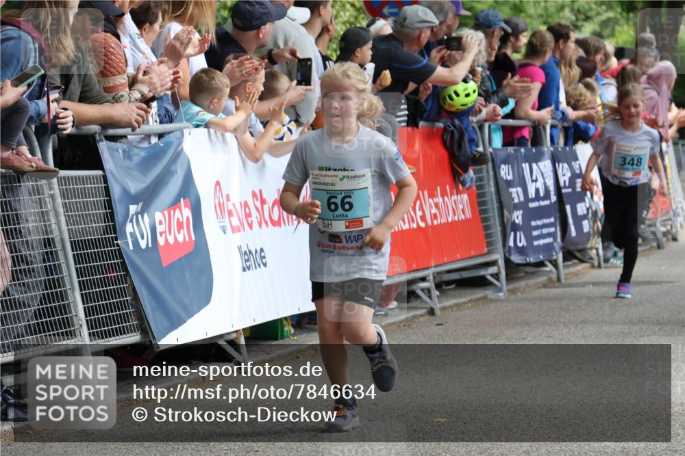 17.05.2025 - Störlauf Strokosch-Dieckow http://msf.ph/oto/7846634 17.05.2025 13:40:45 Ziel 2025, 66, 40, 348 meine-sportfotos.de