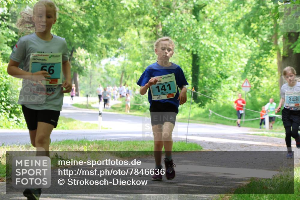 17.05.2025 - Störlauf Strokosch-Dieckow http://msf.ph/oto/7846636 17.05.2025 13:39:15 Laufen 2025, 56, 2025, 141, 348 meine-sportfotos.de
