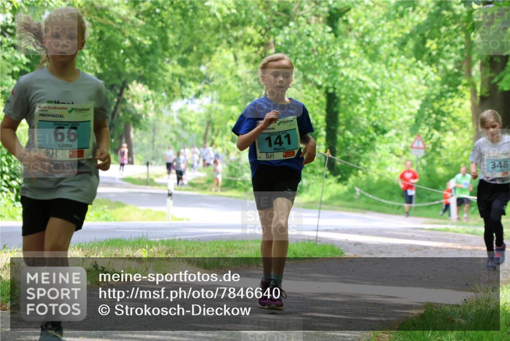 17.05.2025 - Störlauf Strokosch-Dieckow http://msf.ph/oto/7846640 17.05.2025 13:39:15 Laufen 2025, 66, 2025, 141, 348 meine-sportfotos.de