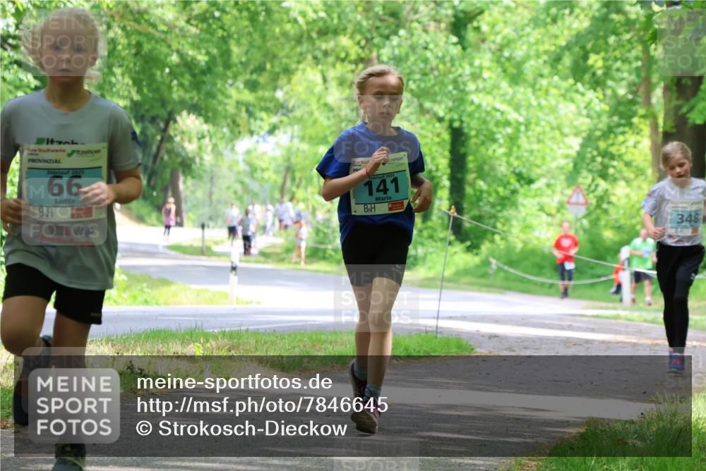17.05.2025 - Störlauf Strokosch-Dieckow http://msf.ph/oto/7846645 17.05.2025 13:39:15 Laufen 2025, 66, 2025, 141, 348 meine-sportfotos.de