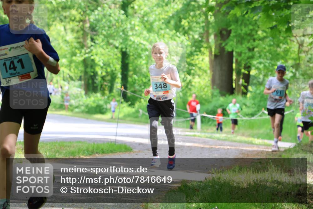 17.05.2025 - Störlauf Strokosch-Dieckow http://msf.ph/oto/7846649 17.05.2025 13:39:17 Laufen 2025, 141, 348, 260 meine-sportfotos.de