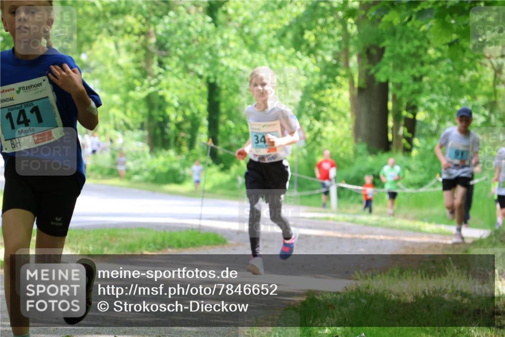 17.05.2025 - Störlauf Strokosch-Dieckow http://msf.ph/oto/7846652 17.05.2025 13:39:17 Laufen 2025, 141, 34 meine-sportfotos.de