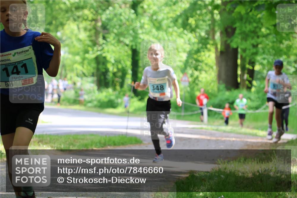 17.05.2025 - Störlauf Strokosch-Dieckow http://msf.ph/oto/7846660 17.05.2025 13:39:17 Laufen 2025, 141, 348 meine-sportfotos.de