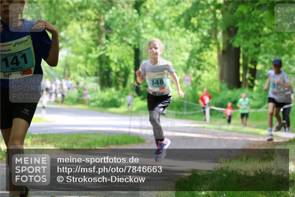 17.05.2025 - Störlauf Strokosch-Dieckow http://msf.ph/oto/7846663 17.05.2025 13:39:17 Laufen 2025, 141, 348 meine-sportfotos.de