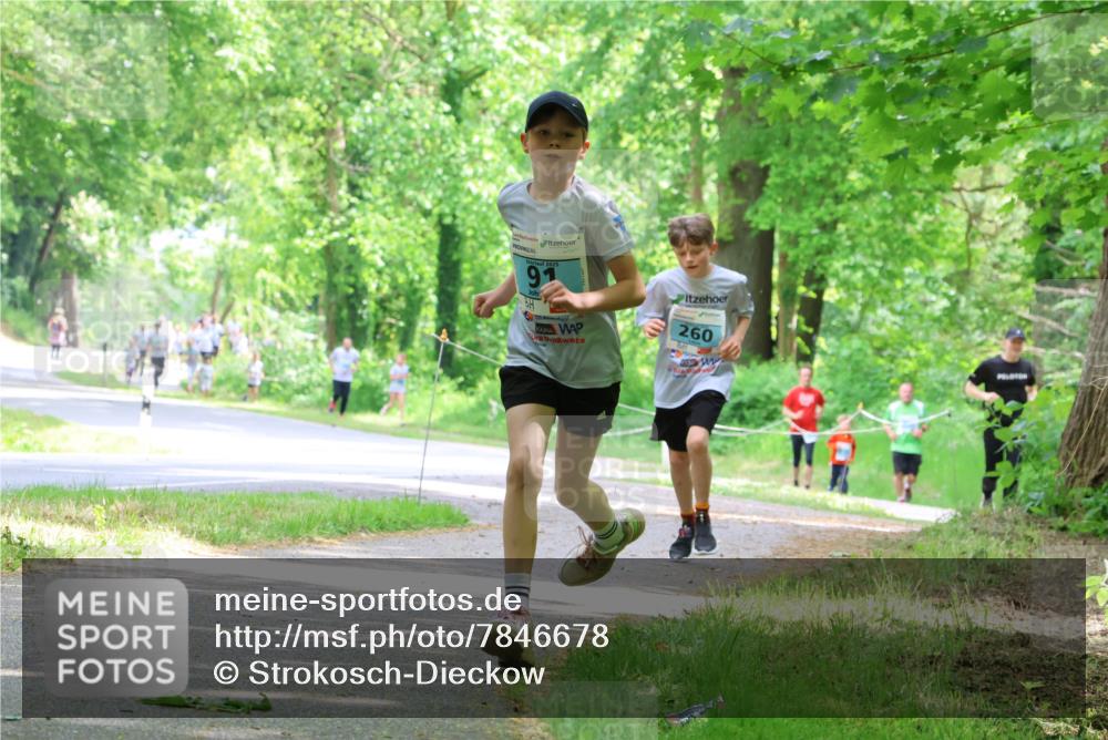 17.05.2025 - Störlauf Strokosch-Dieckow http://msf.ph/oto/7846678 17.05.2025 13:39:21 Laufen 2025, 9, 260 meine-sportfotos.de