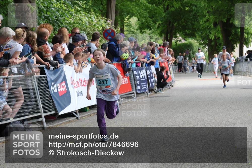 17.05.2025 - Störlauf Strokosch-Dieckow http://msf.ph/oto/7846696 17.05.2025 13:41:26 Ziel 247 meine-sportfotos.de