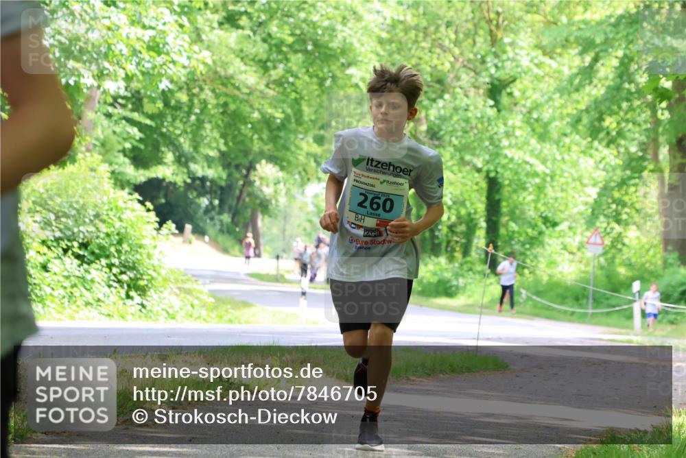 17.05.2025 - Störlauf Strokosch-Dieckow http://msf.ph/oto/7846705 17.05.2025 13:39:24 Laufen 260 meine-sportfotos.de