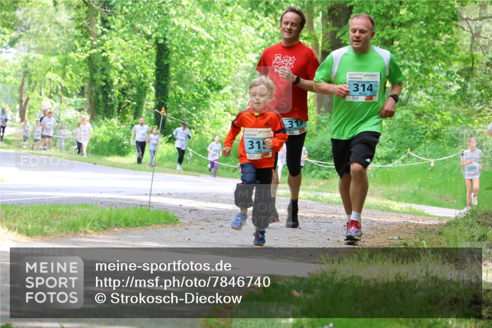 17.05.2025 - Störlauf Strokosch-Dieckow http://msf.ph/oto/7846740 17.05.2025 13:39:37 Laufen 31, 313, 314, 284 meine-sportfotos.de