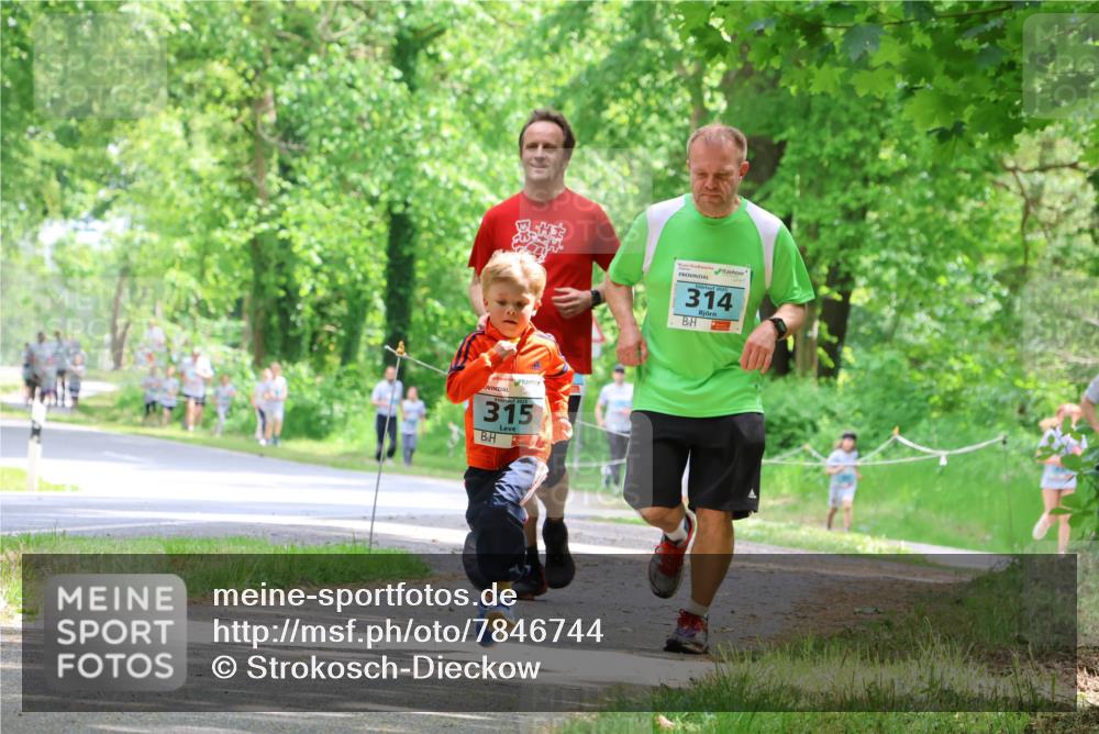 17.05.2025 - Störlauf Strokosch-Dieckow http://msf.ph/oto/7846744 17.05.2025 13:39:38 Laufen 315, 2025, 314 meine-sportfotos.de