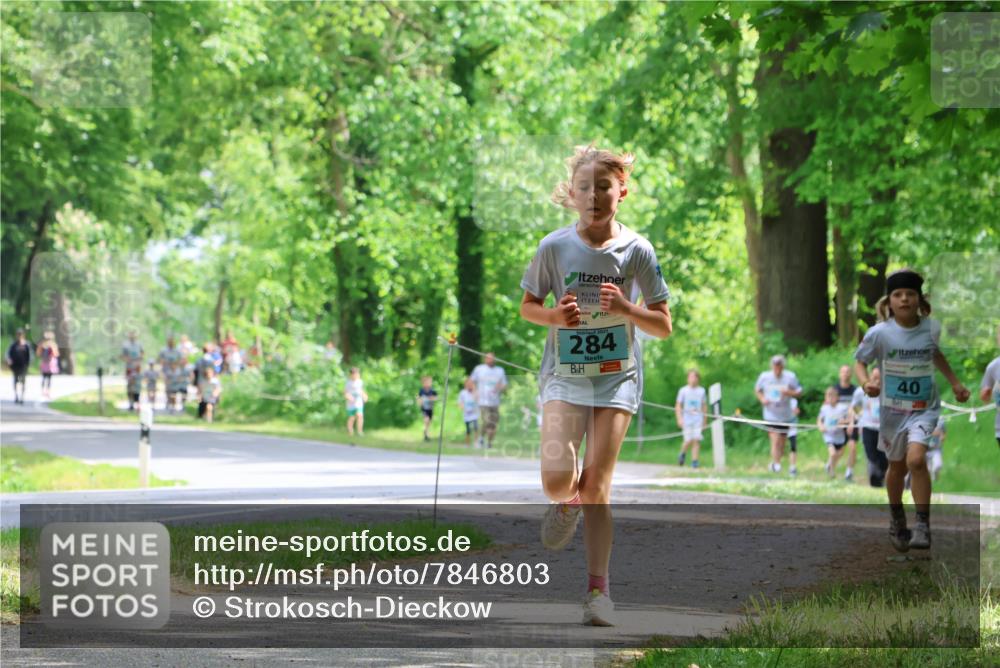 17.05.2025 - Störlauf Strokosch-Dieckow http://msf.ph/oto/7846803 17.05.2025 13:39:52 Laufen 2025, 284, 40 meine-sportfotos.de