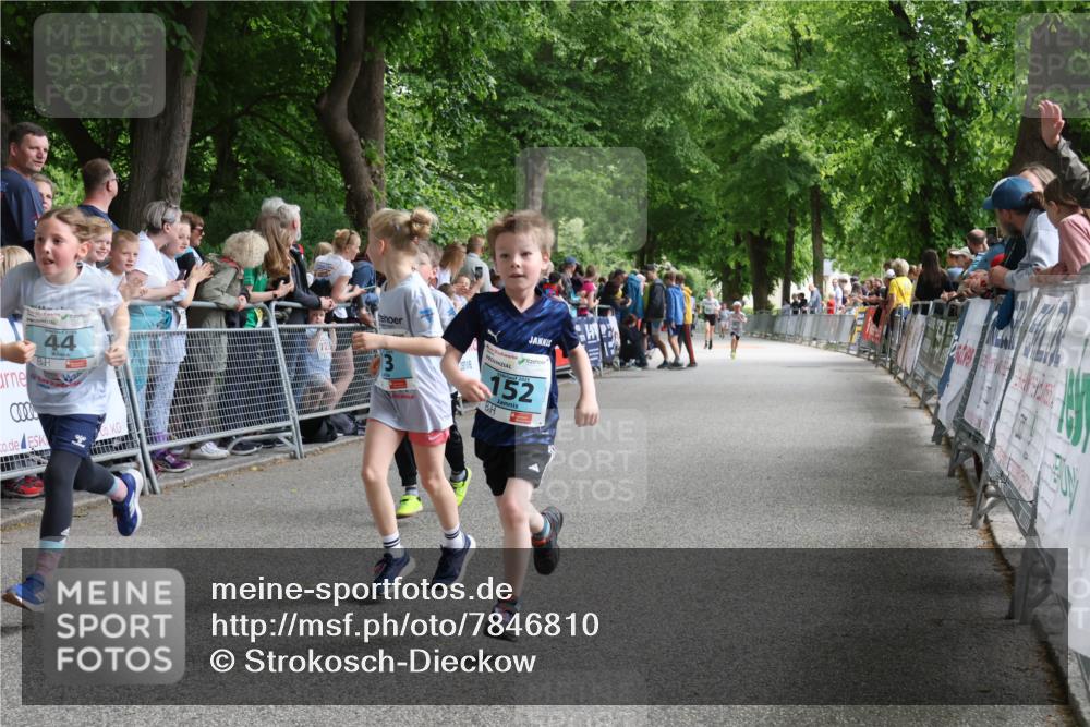 17.05.2025 - Störlauf Strokosch-Dieckow http://msf.ph/oto/7846810 17.05.2025 13:42:15 Ziel 44, 152 meine-sportfotos.de