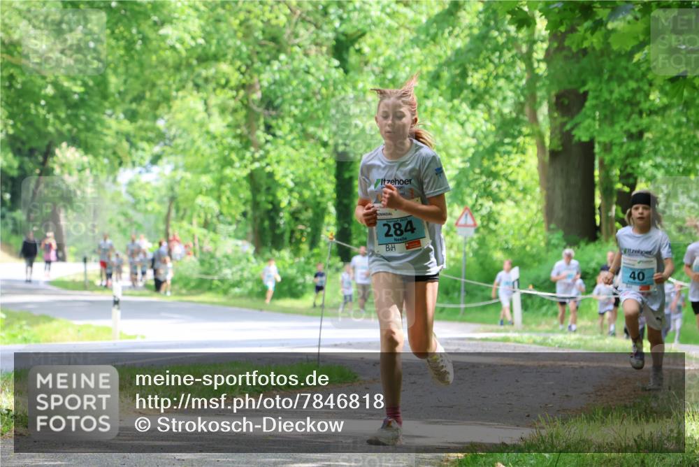 17.05.2025 - Störlauf Strokosch-Dieckow http://msf.ph/oto/7846818 17.05.2025 13:39:52 Laufen 2025, 284, 40 meine-sportfotos.de