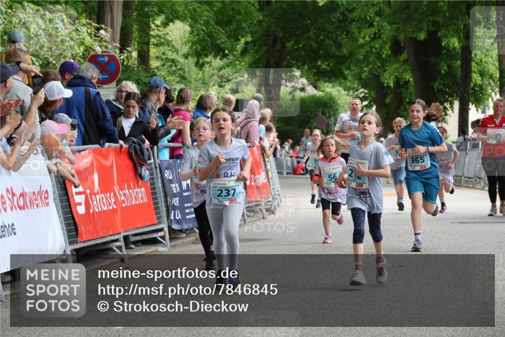 17.05.2025 - Störlauf Strokosch-Dieckow http://msf.ph/oto/7846845 17.05.2025 13:42:45 Ziel 40, 237, 56, 365 meine-sportfotos.de