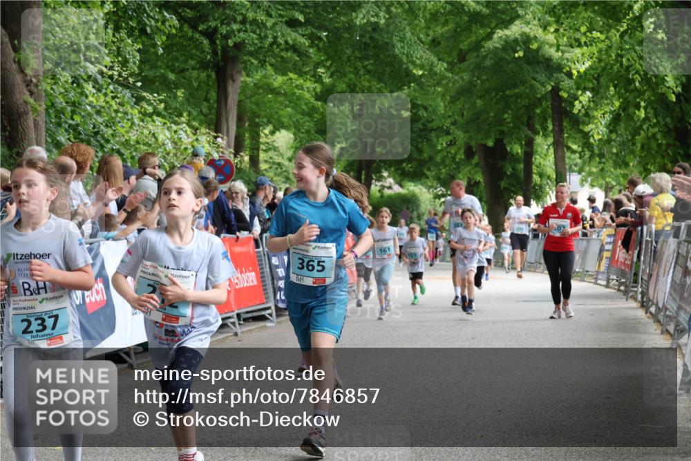 17.05.2025 - Störlauf Strokosch-Dieckow http://msf.ph/oto/7846857 17.05.2025 13:42:48 Ziel 2025, 237, 365, 161 meine-sportfotos.de