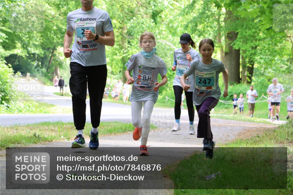 17.05.2025 - Störlauf Strokosch-Dieckow http://msf.ph/oto/7846876 17.05.2025 13:40:02 Laufen 2025, 2, 30, 247 meine-sportfotos.de