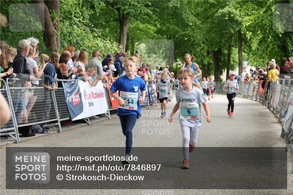 17.05.2025 - Störlauf Strokosch-Dieckow http://msf.ph/oto/7846897 17.05.2025 13:43:05 Ziel 44, 255 meine-sportfotos.de
