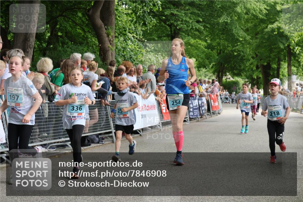 17.05.2025 - Störlauf Strokosch-Dieckow http://msf.ph/oto/7846908 17.05.2025 13:43:09 Ziel 197, 336, 254, 218 meine-sportfotos.de