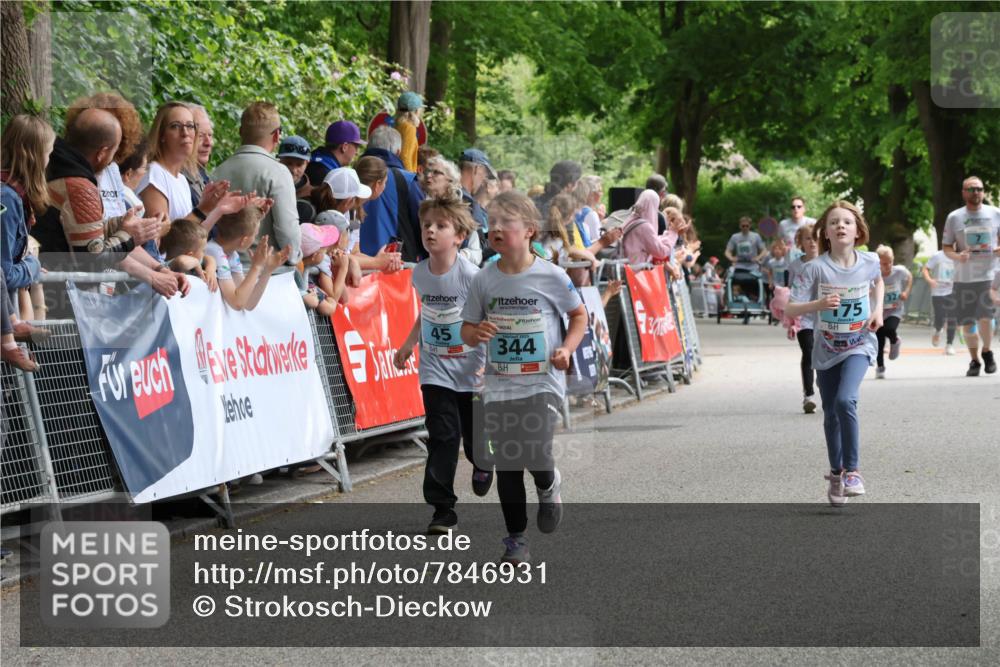 17.05.2025 - Störlauf Strokosch-Dieckow http://msf.ph/oto/7846931 17.05.2025 13:43:17 Ziel 45, 2025, 344, 75 meine-sportfotos.de