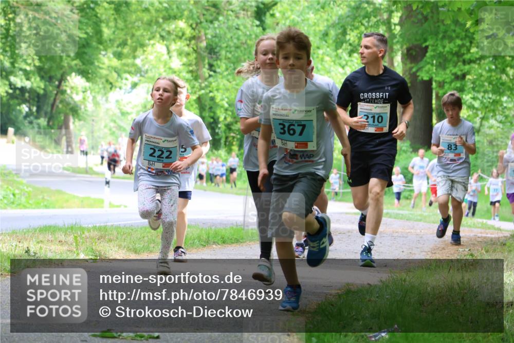 17.05.2025 - Störlauf Strokosch-Dieckow http://msf.ph/oto/7846939 17.05.2025 13:40:13 Laufen 222, 2025, 367, 210, 83 meine-sportfotos.de
